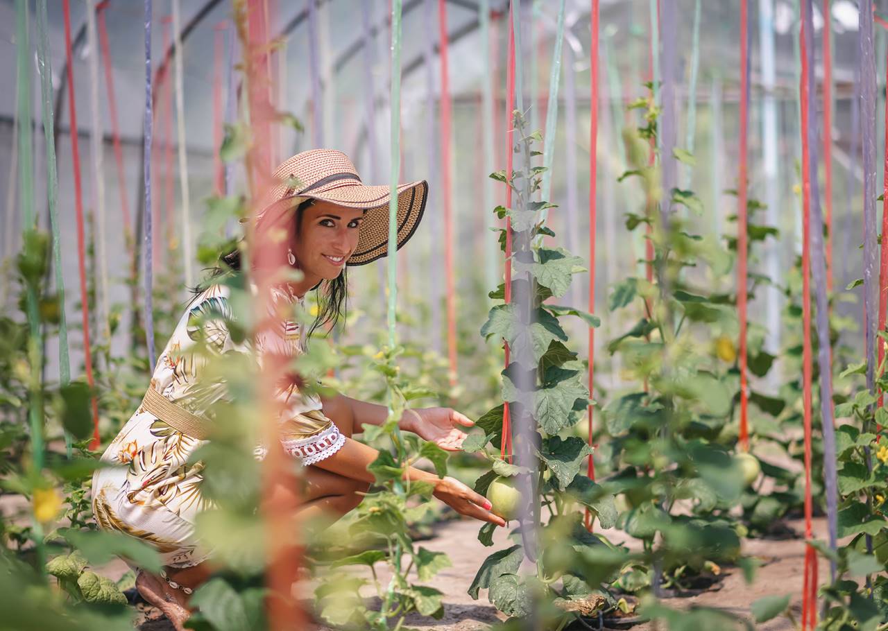 organic-farm-island-min